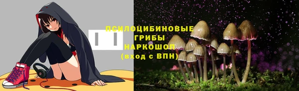 дмт Алексеевка