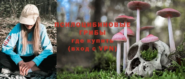 прущие крисы Алзамай